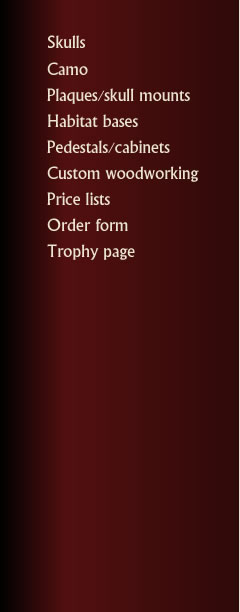 Navigation Menu